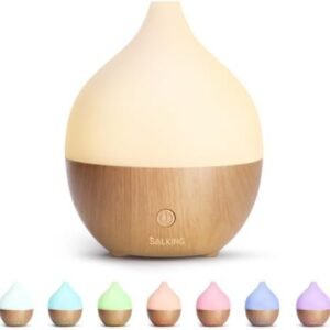 SALKING Essential Oil Diffuser, 100ml Small Aromatherapy Diffuser with Auto Shut-Off Function, Ultrasonic Diffusers for Essential Oils, Cool Mist Humidifier with Warm White Lights, for Office Home