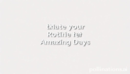 Elevate Your Routine