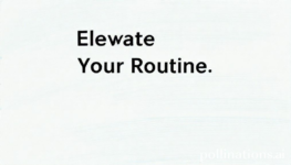 Elevate Your Routine