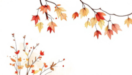 Falls Hottest Beauty