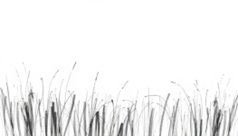 Elevate Your Routine