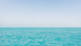 Your Oasis Essential