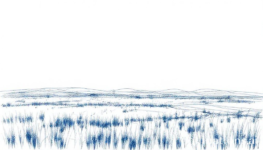 Transform Your Daily