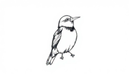 Mens Grooming Womens