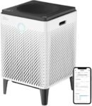 Top 10 Allergy Air Purifiers — Breathe Easy, Silly!