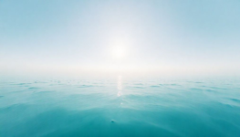 Unwind Recharge Your