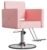 Barber Salon Chairs for Hair Stylist, Height Adjustable Hydraulic Salon Chair, 360 Degrees Rotation, Multi-Function Shampoo Chair for Home Barbershop, Pink