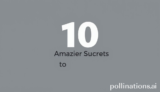 Unveiling 10 Amazing Secrets to Success