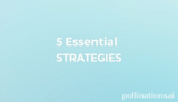5 Essential Elevate Strategies