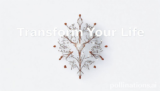 Transform Your Life: 7 Amazing Secrets Proven