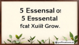 5 Essential Beyond for Maximum Growth