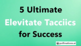 5 Ultimate Elevate Tactics for Success