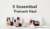 5 Essential Haul Trending Beauty: Amazing New Finds
