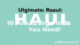 Ultimate Haul: 10 Amazing Finds You Need!