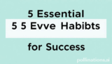 5 Essential Elevate Habits for Success