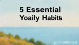 5 Essential Your Daily Habits