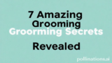 7 Amazing Grooming Secrets Revealed