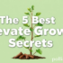 5 Essential Unlock Your Self Secrets