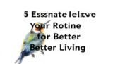 5 Essential Elevate Your Routine for Better Living
