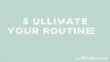 5 Ultimate Elevate Your Routine for Amazing Results