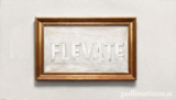 Ultimate Elevate: 5 Proven Steps to Success