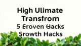 Ultimate Transform: 5 Proven Growth Hacks