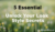 5 Essential Unlock Your Look Style Secrets