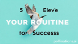 5 Proven Elevate Your Routine for Success