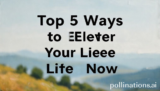 Top 5 Ways to Elevate Your Life Now
