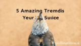 5 Amazing Trending Finds Your Ultimate Style Guide
