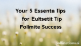 Your 5 Essential Tips for Ultimate Success