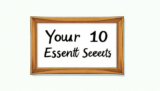 Budget Luxury Your 10 Essential Secrets