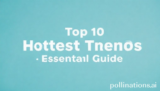 Top 10 Hottest Trends: Essential Guide