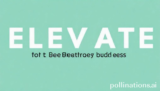 Elevate: 7 Essential Habits for Breakthrough Success