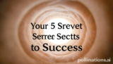 Your 5 Proven Secrets to Success