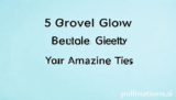 5 Proven Glow Budget Your Amazing Tips
