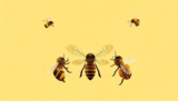 5 Ultimate Busy Bees Effortless: Proven Productivity
