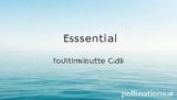 5 Essential Unwind for Ultimate Calm