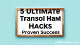 5 Ultimate Transform Hacks: Proven Success