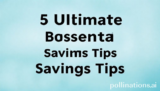 5 Ultimate Budget Essential Savings Tips