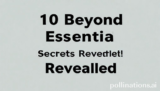 10 Beyond Essential Secrets Revealed!
