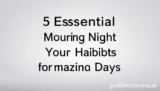 5 Essential Morning Night Your Habits for Amazing Days
