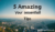 5 Amazing Your Essential Tips