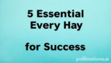 5 Essential Everyday Hacks for Success