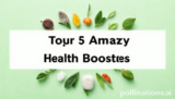 Top 5 Your Amazing Health Boosters