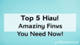Top 5 Haul: Amazing Finds You Need Now!