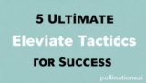 5 Ultimate Elevate Tactics for Success