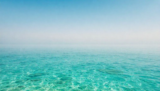 Ultimate Your Selfcare Oasis: 7 Proven Steps