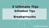5 Ultimate Elevate Tips for Breakthrough Success