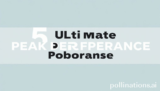 5 Ultimate Upgrade for Peak Performance